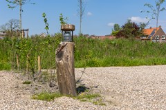 FotovanDana-Aventuur Buiten-12.jpg